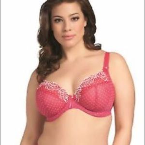 Elomi Betty Underwire Plunge In Raspberry Pink